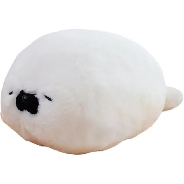 40cm65cm