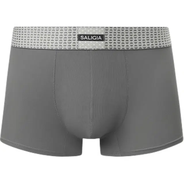 SALIGIA