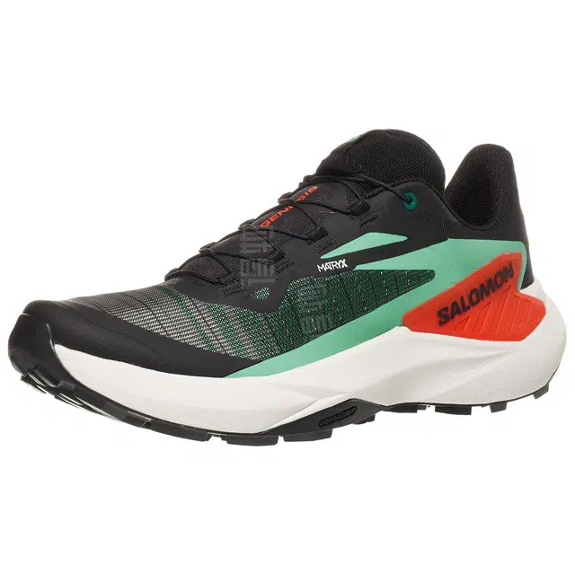 SALOMON GENESIS