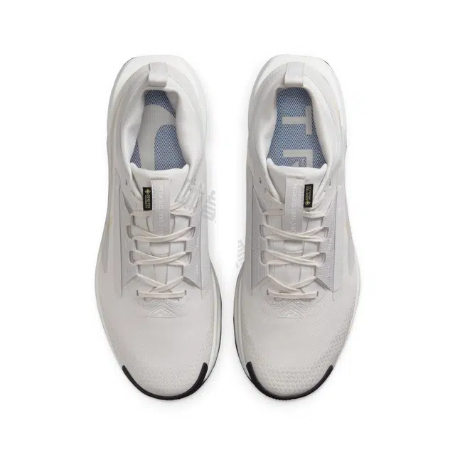 Nike Pegasus Trail 5