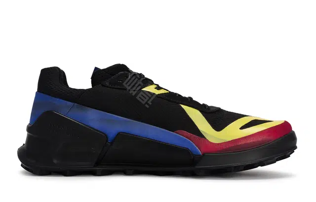 ecco BIOM 2.1 X COUNTRY 811