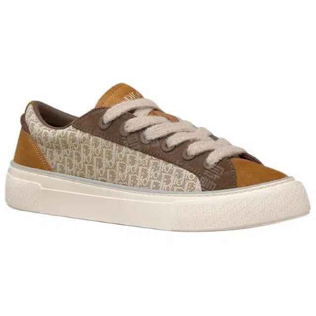 DIOR B33
