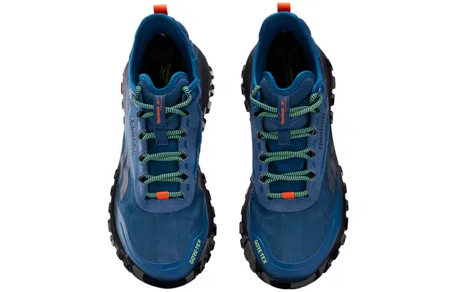Reebok DMX Trail GTX Blue