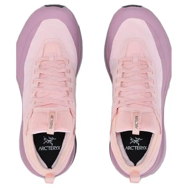 Arcteryx SYLAN GTX
