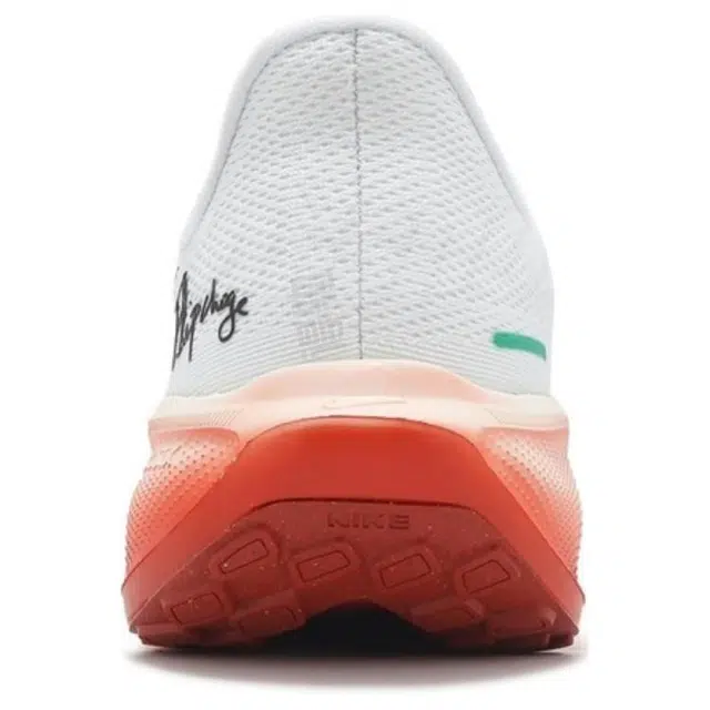 Nike Air Zoom Pegasus 41