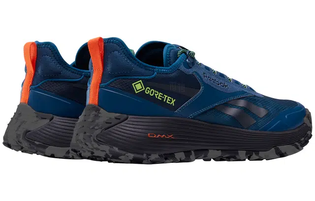 Reebok DMX Trail GTX Blue