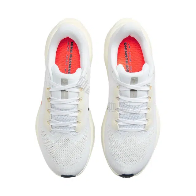 Nike Pegasus 41