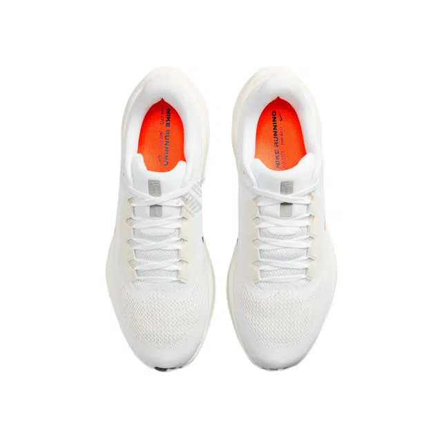 Nike Pegasus 41