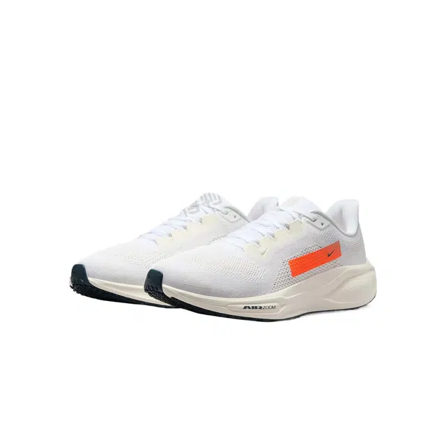 Nike Pegasus 41