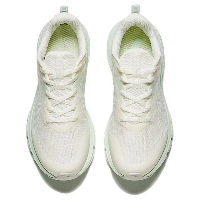 Anta