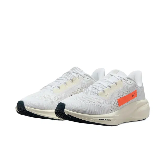 Nike Pegasus 41