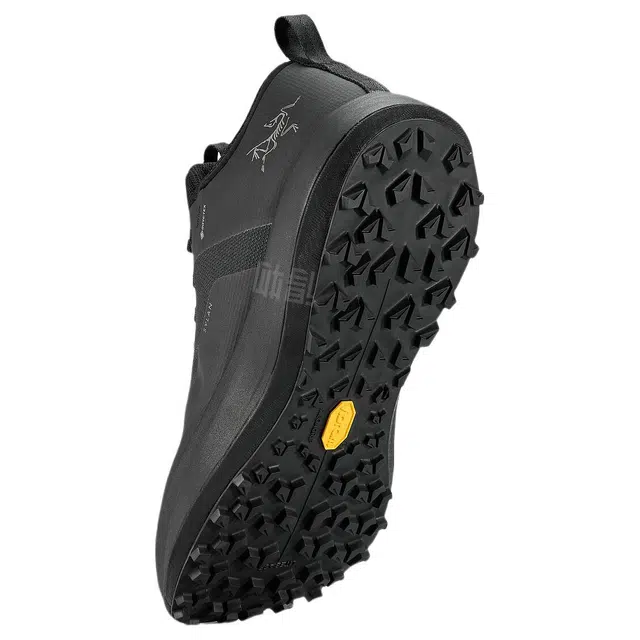 Arcteryx SYLAN GTX