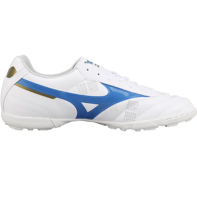 Mizuno