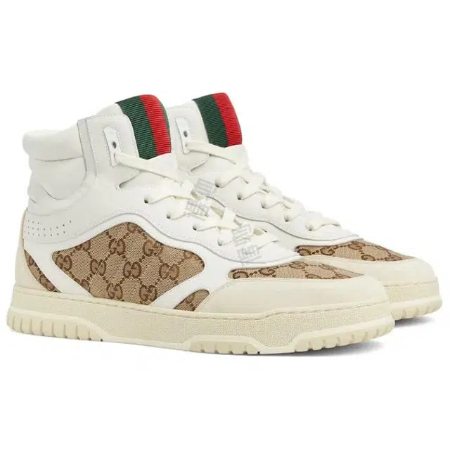 GUCCI Re-Web