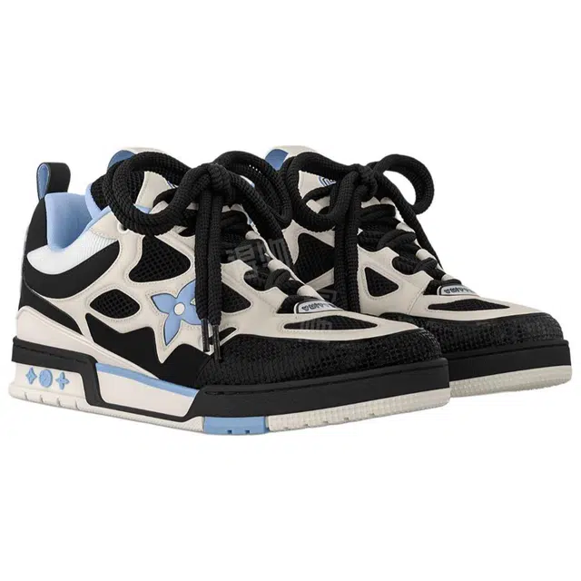 LOUIS VUITTON Skate