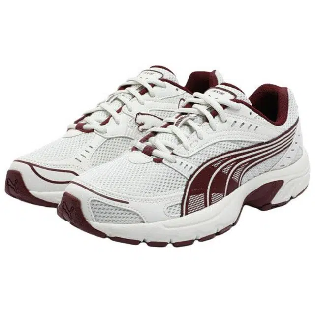 PUMA Axis