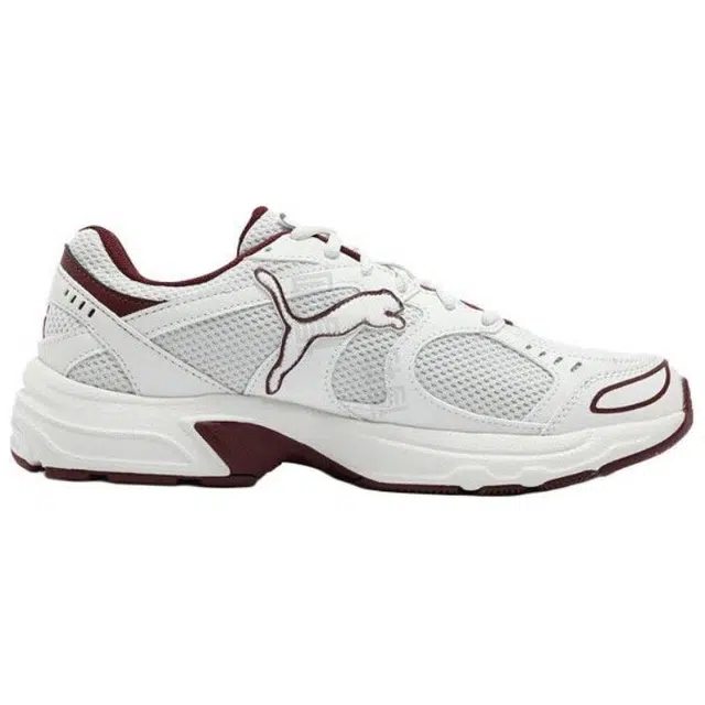 PUMA Axis