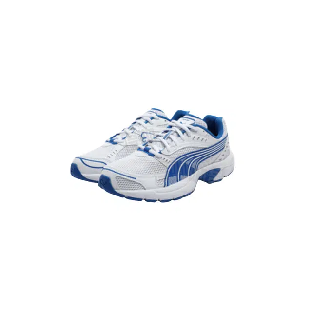 PUMA Axis