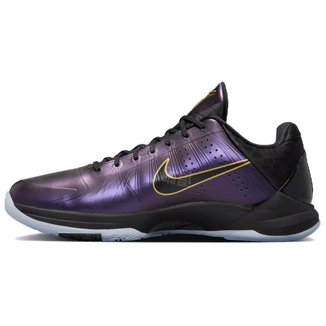 Nike Kobe 5 ProtroYear of the Mamba