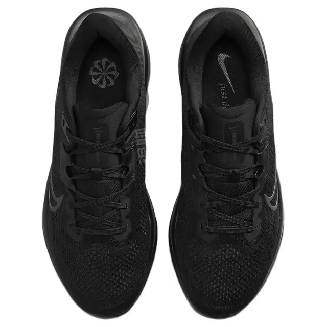 Nike Quest 6