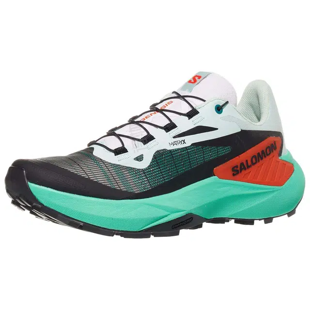 SALOMON GENESIS