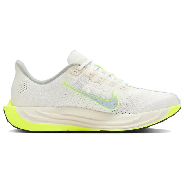 Nike Pegasus Plus