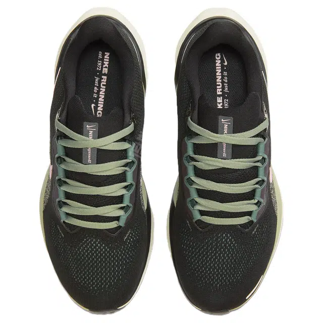 Nike Pegasus 41