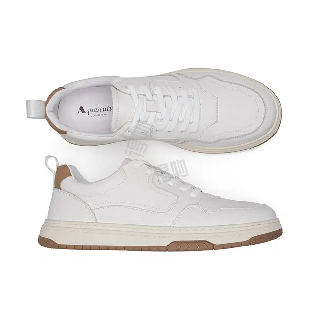 AQUASCUTUM