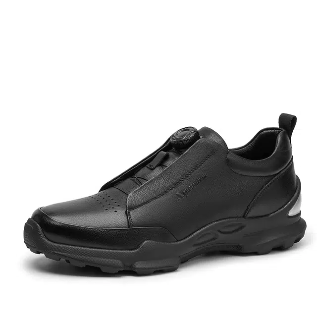 AQUASCUTUM