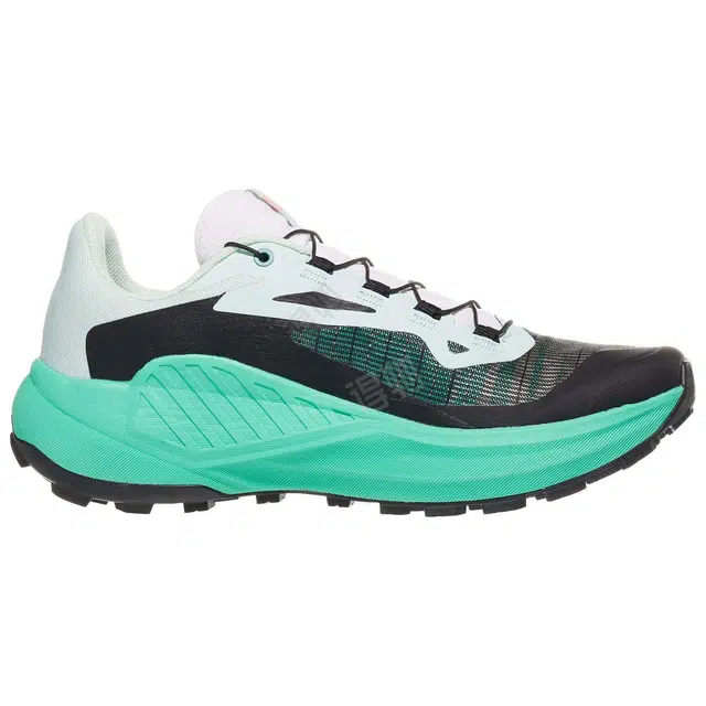 SALOMON GENESIS