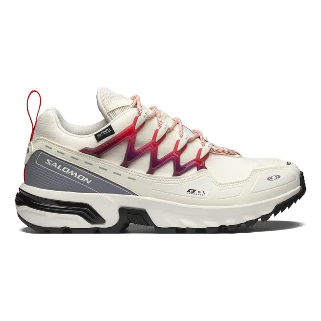 SALOMON ACS + CSWP