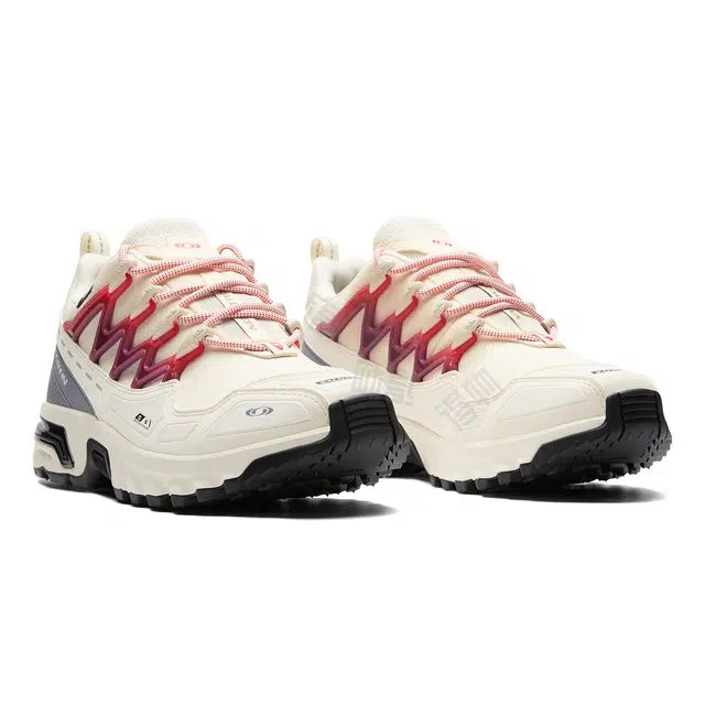 SALOMON ACS + CSWP