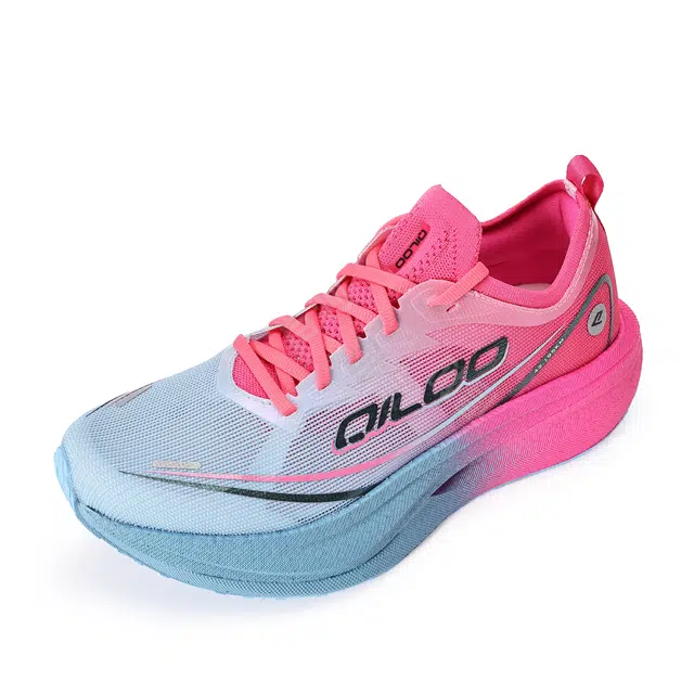 QILOO 3.0Pro