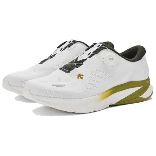 DESCENTE LAVITATE WIRE 2.0