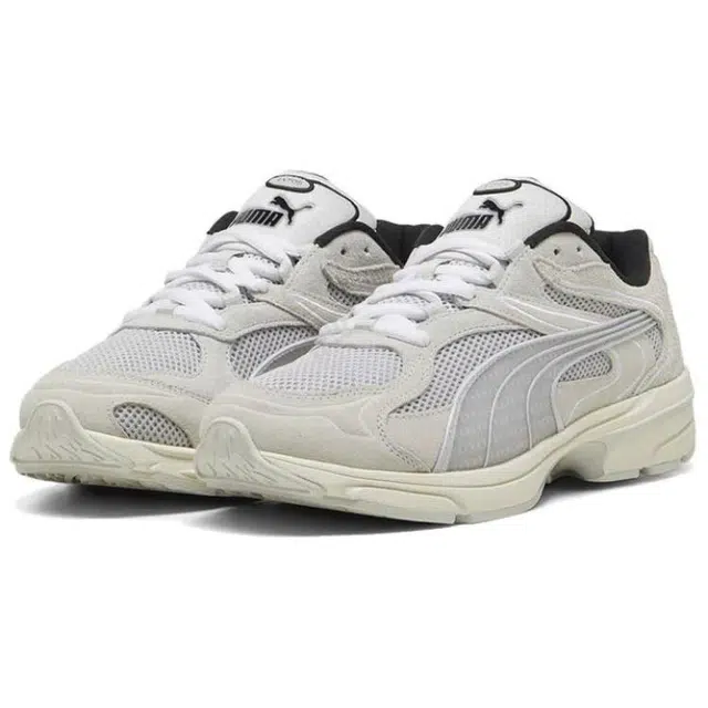 PUMA COLLECTOR