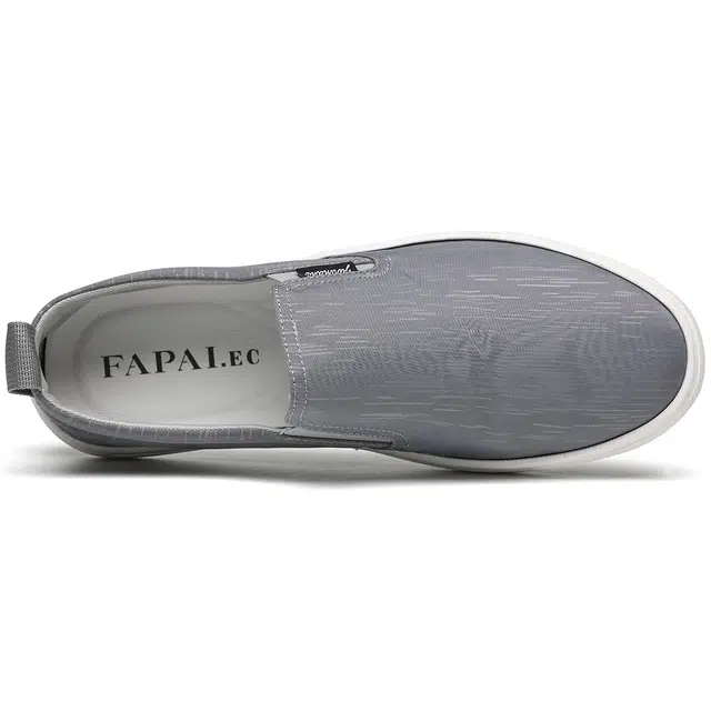 FAPAI