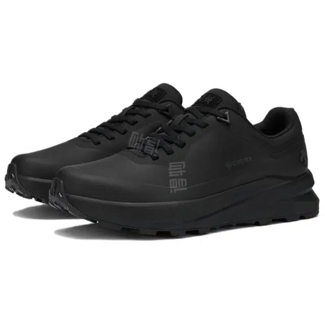 DESCENTE Dualis GORE-TEX