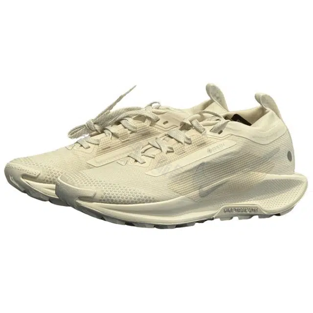 Nike Pegasus Trail 5 GTX