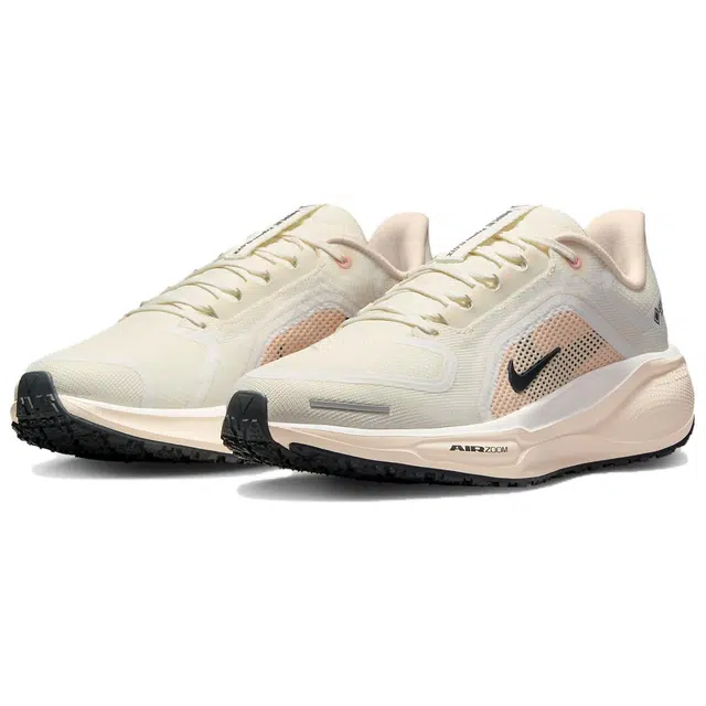 Nike Pegasus 41
