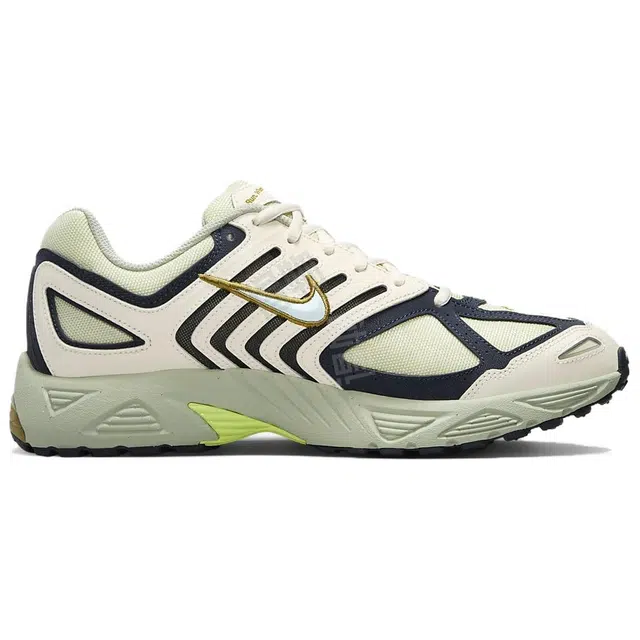 Nike Air Pegasus 2005