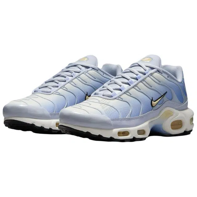 Nike Air Max Plus Daybreak