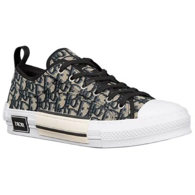 DIOR B23