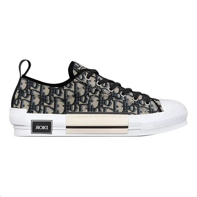 DIOR B23