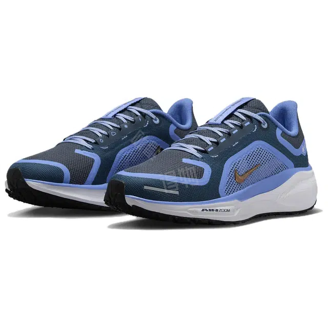 Nike Pegasus 41 GORE-TEX
