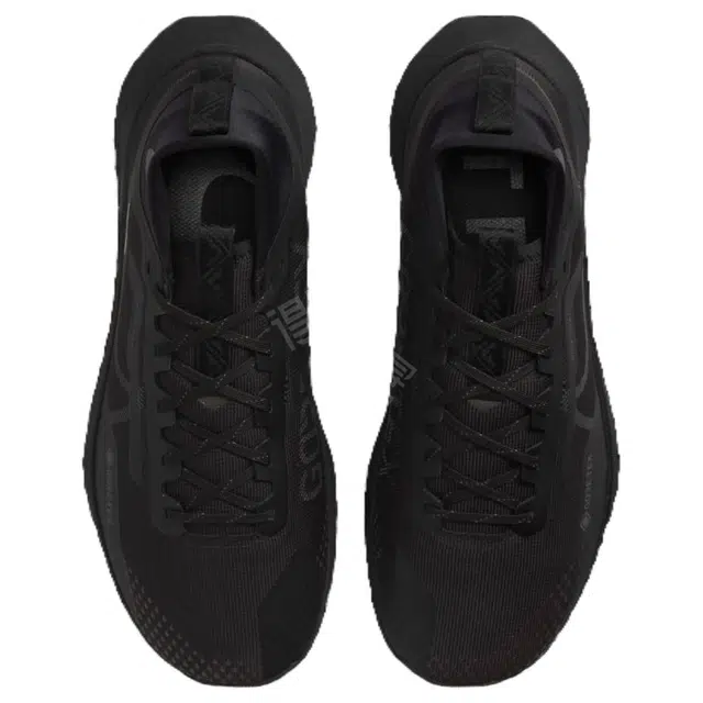 Nike Pegasus Trail 4 GTX V2