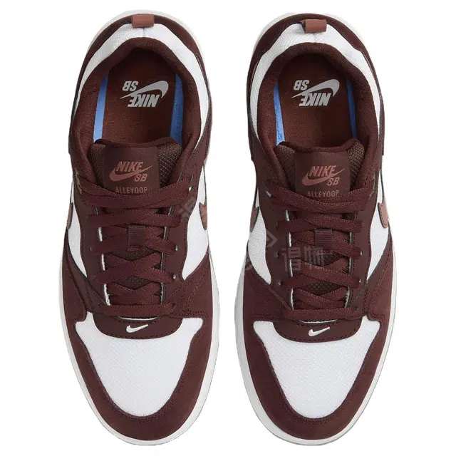 Nike SB Alleyoop