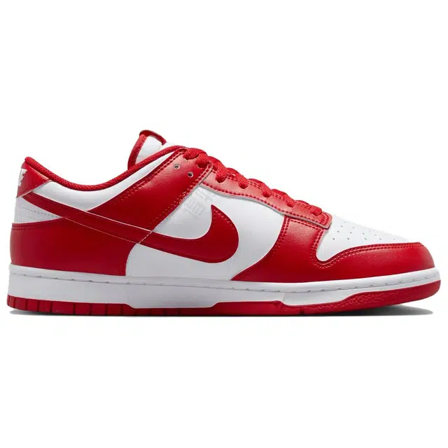 Nike Dunk Low Retro