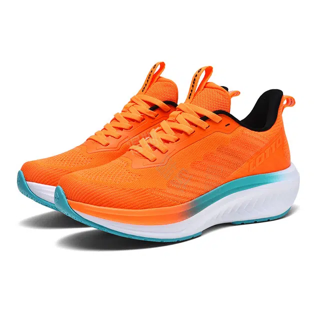 LOTTO 1.0