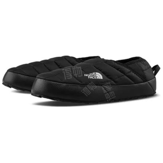 THE NORTH FACE ICON