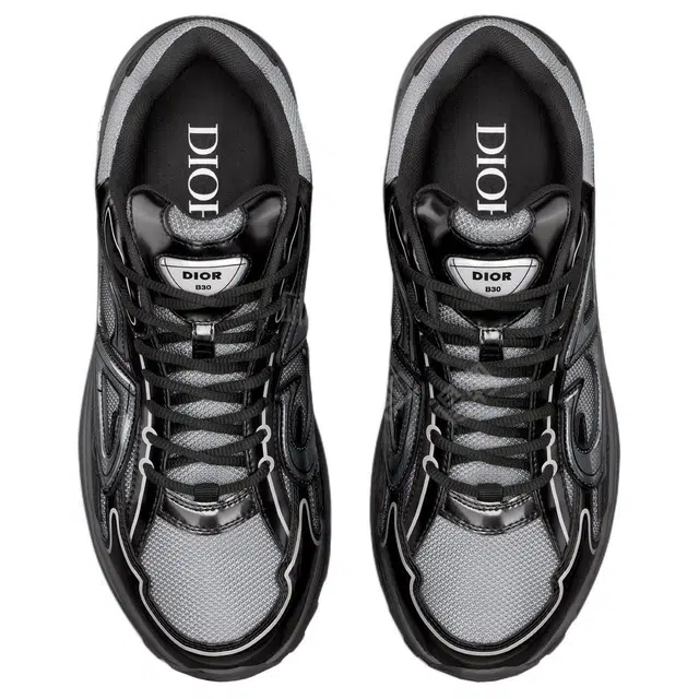 DIOR B30